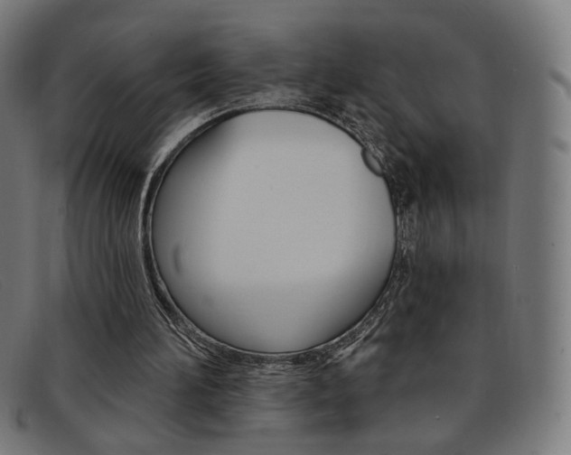 X0000092110196200709121136