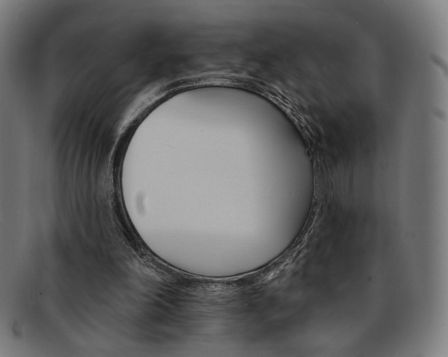 X0000092110198200709121136