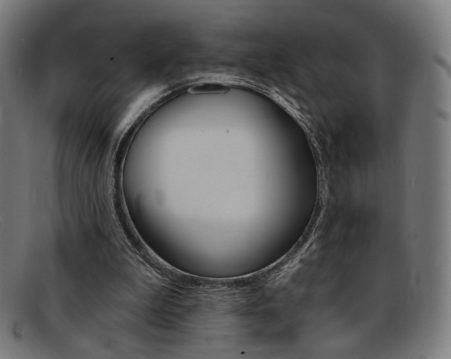 X0000092110199200709121136