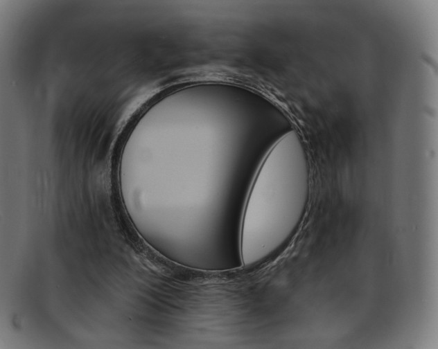 X0000092110200200709121136