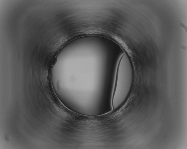 X0000092110201200709121136