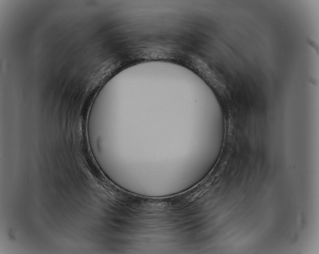 X0000092110202200709121136