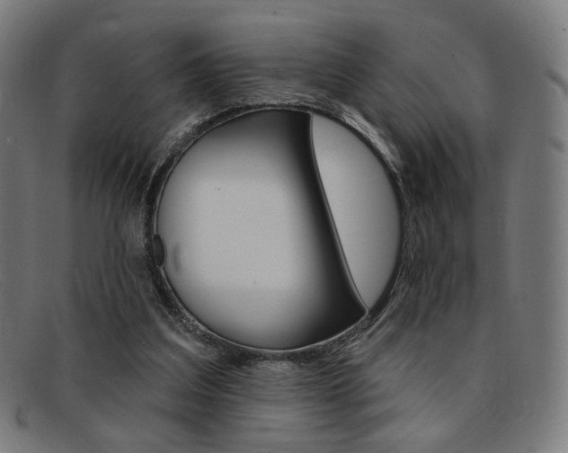 X0000092110203200709121136