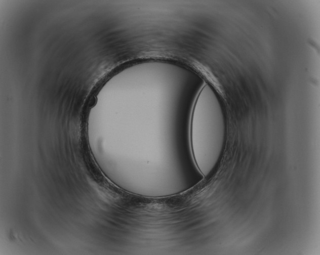 X0000092110204200709121136