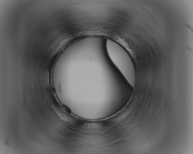 X0000092110205200709121136