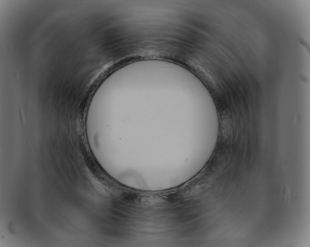 X0000092110208200709121136