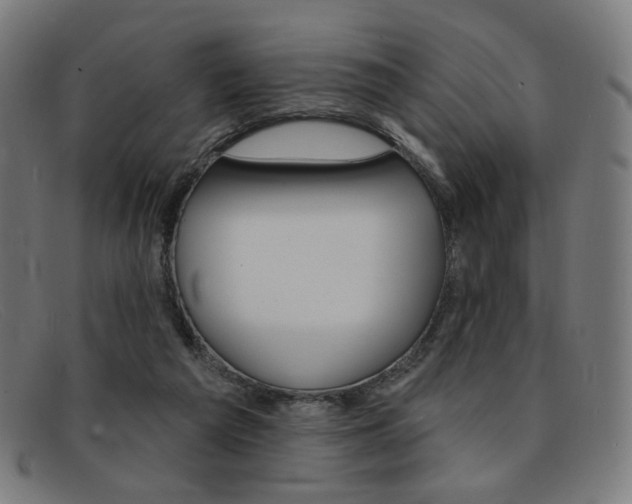X0000092110209200709121136