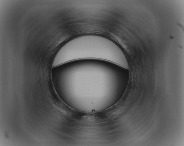 X0000092110211200709121136