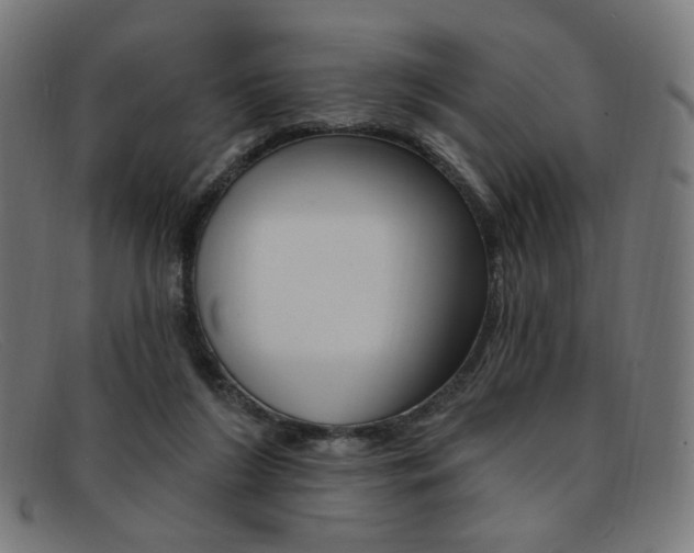 X0000092110212200709121136
