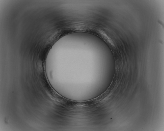 X0000092110213200709121136