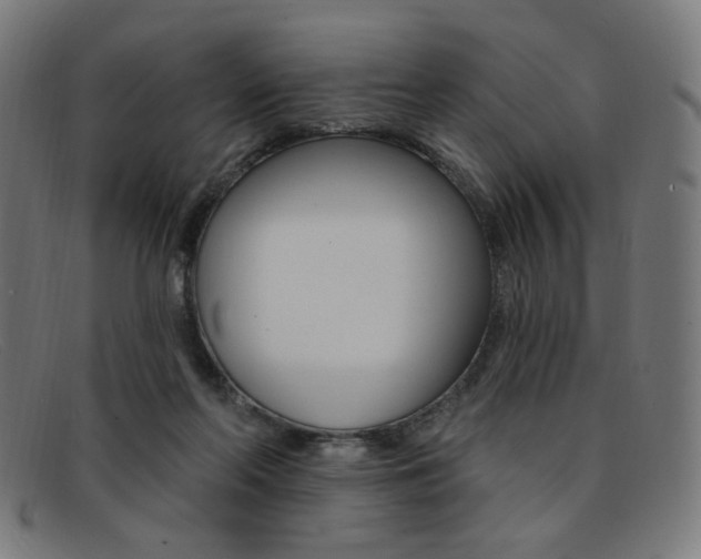 X0000092110214200709121136