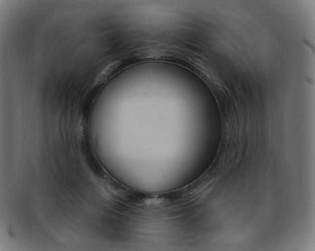 X0000092110216200709121136