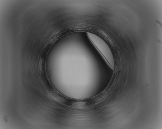 X0000092110217200709121136