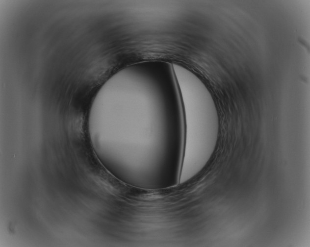 X0000092110219200709121135