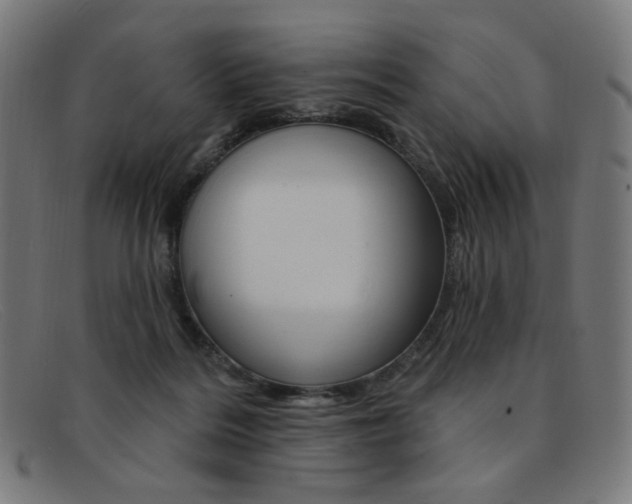 X0000092110220200709121135