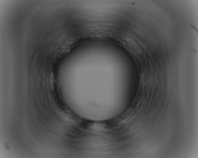 X0000092110223200709121135