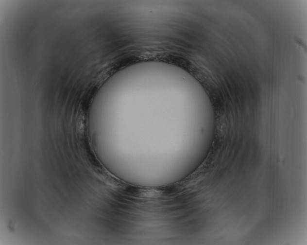 X0000092110226200709121135