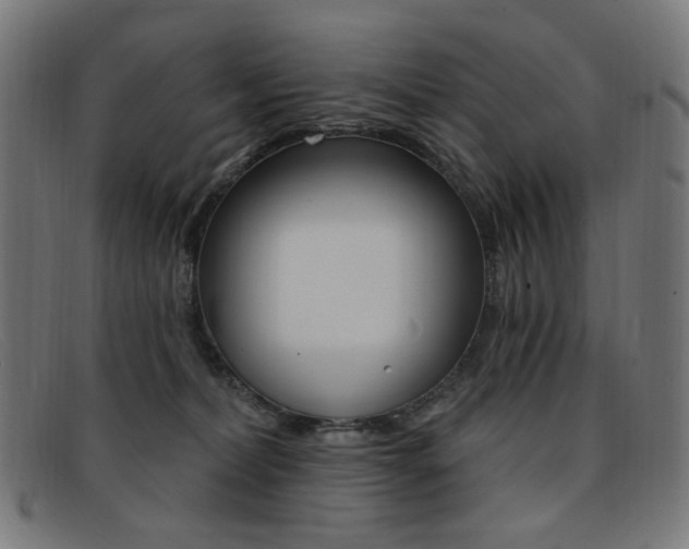 X0000092110228200709121135
