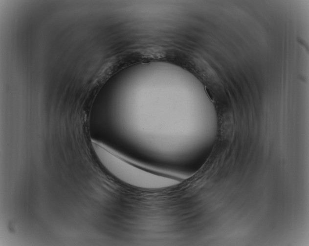 X0000092110229200709121135
