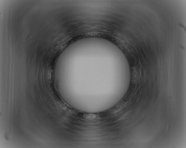 X0000092110230200709121135