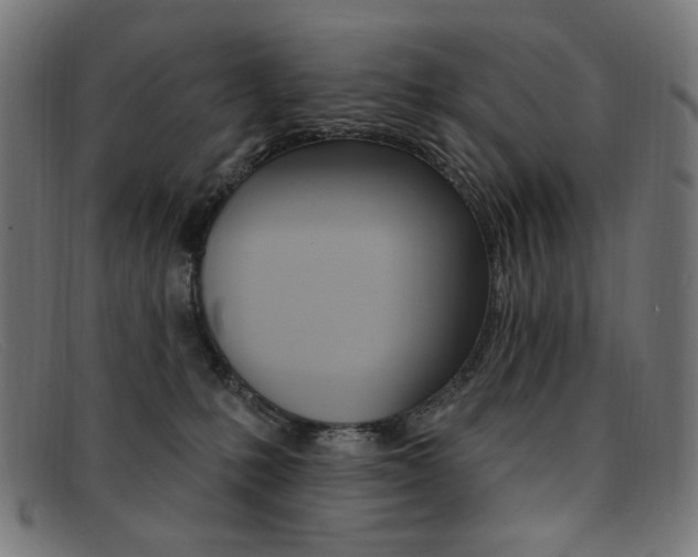 X0000092110231200709121135
