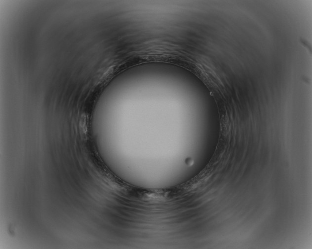X0000092110232200709121135