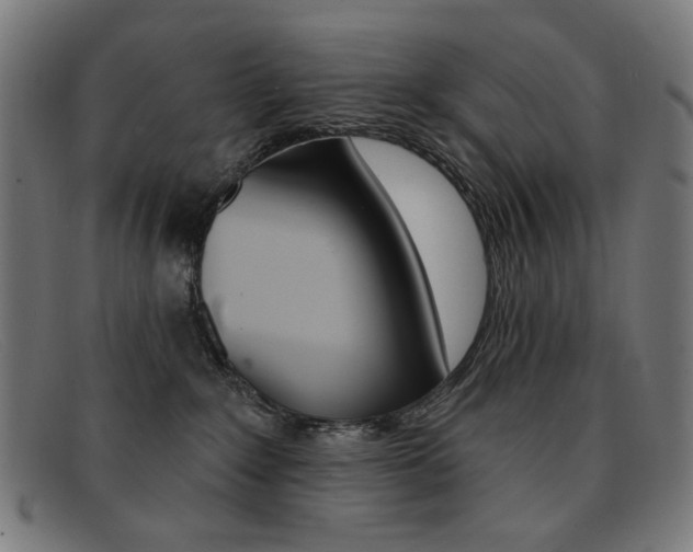 X0000092110235200709121135