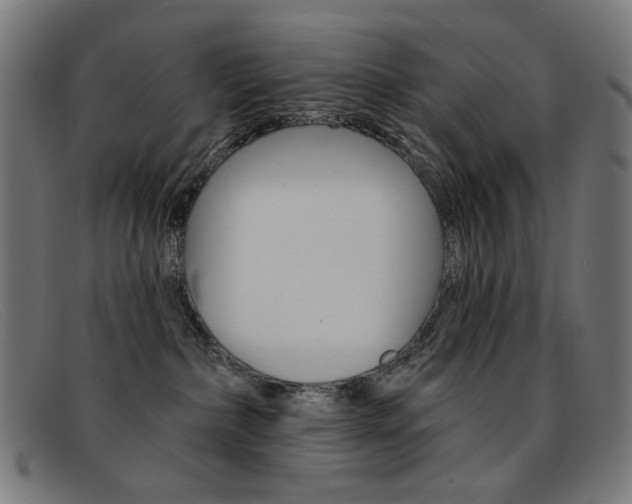 X0000092110236200709121135