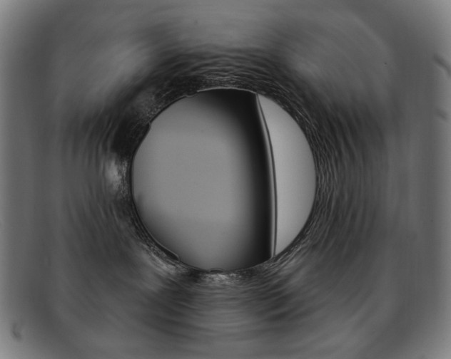 X0000092110239200709121135