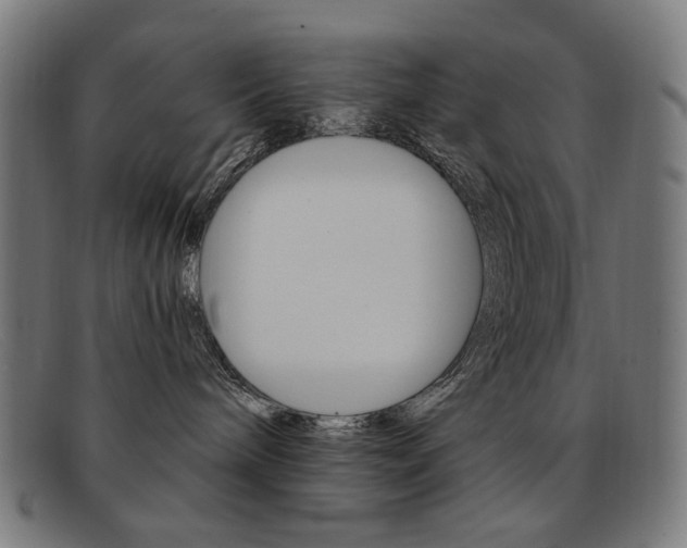 X0000092110240200709121135