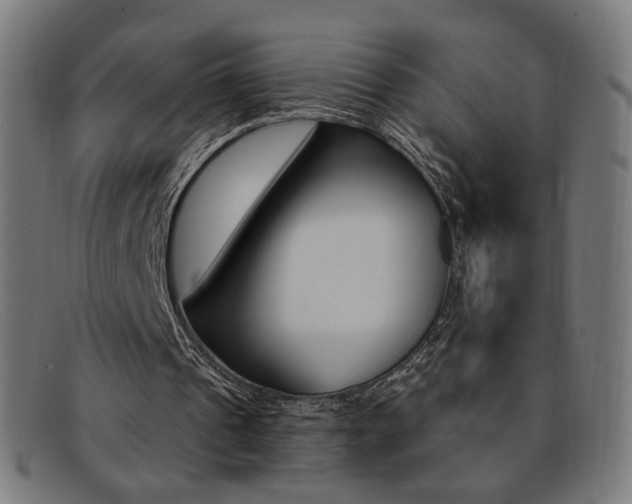 X0000092110241200709121135