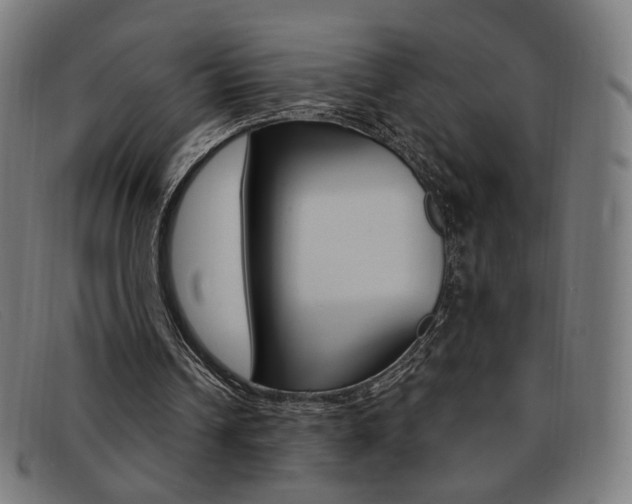 X0000092110242200709121135