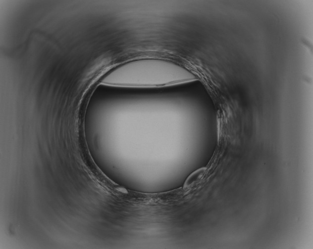 X0000092110243200709121135