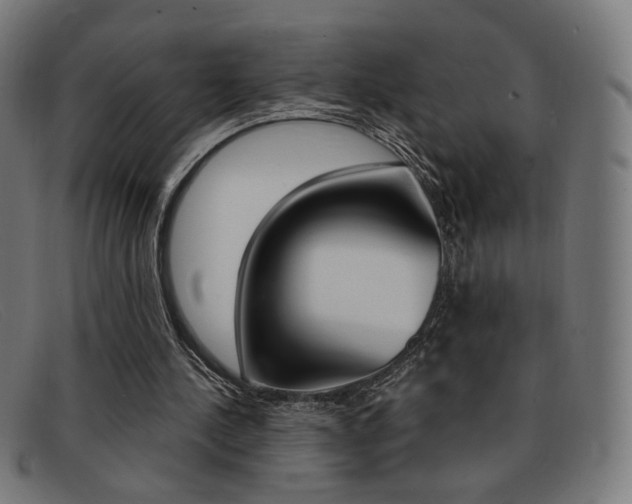 X0000092110244200709121135