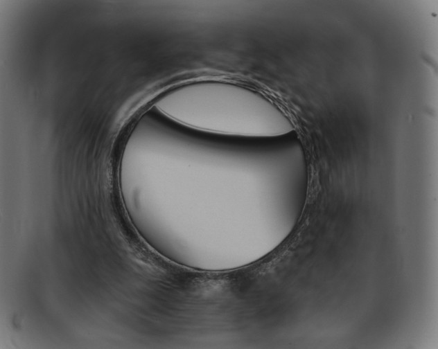 X0000092110247200709121135
