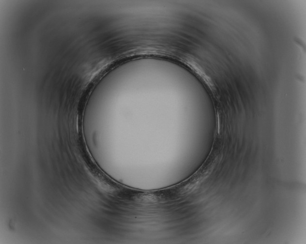 X0000092110253200709121135