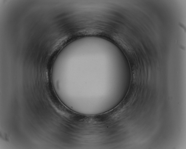 X0000092110254200709121135