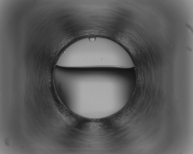 X0000092110255200709121135