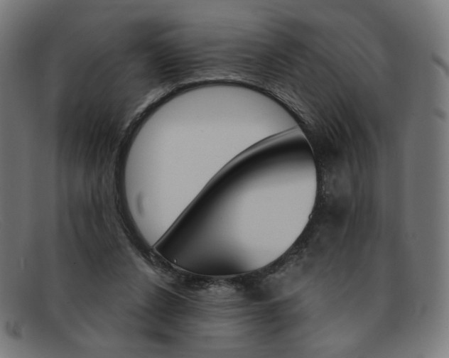X0000092110256200709121135
