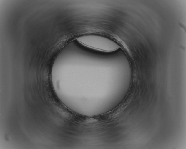 X0000092110257200709121135