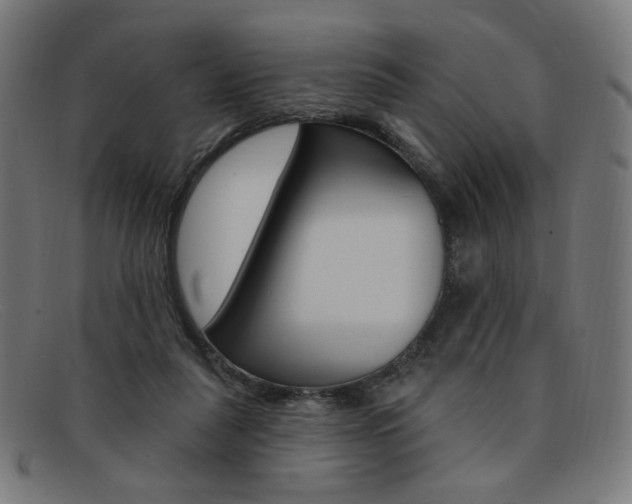 X0000092110259200709121135