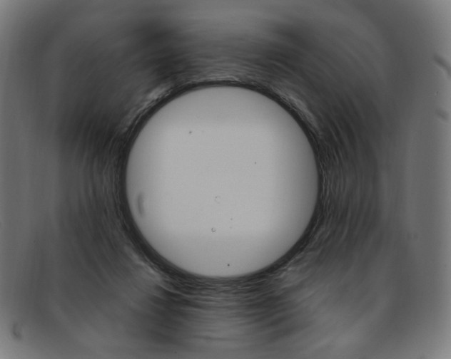 X0000092110260200709121135