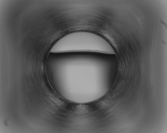 X0000092110261200709121135