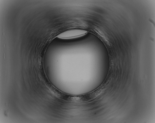 X0000092110265200709121135