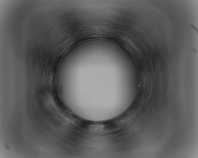 X0000092110266200709121135