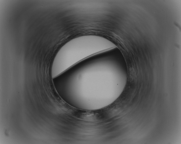 X0000092110267200709121135