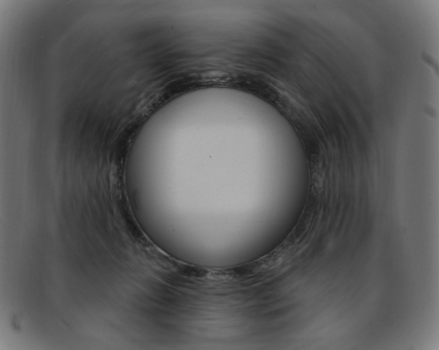 X0000092110270200709121135