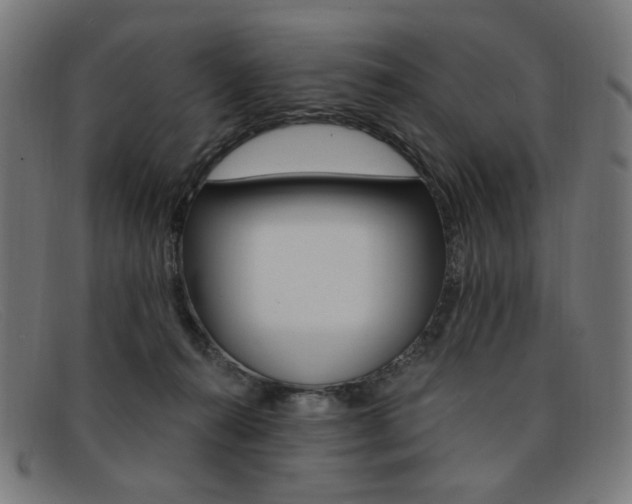 X0000092110272200709121135