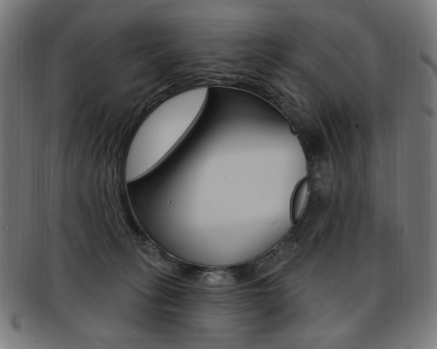 X0000092110275200709121135