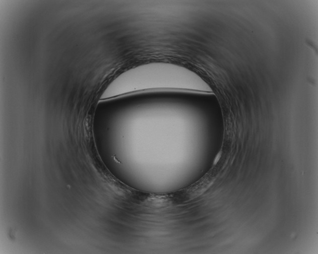 X0000092110280200709121135